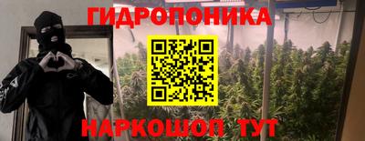 скорость Будённовск