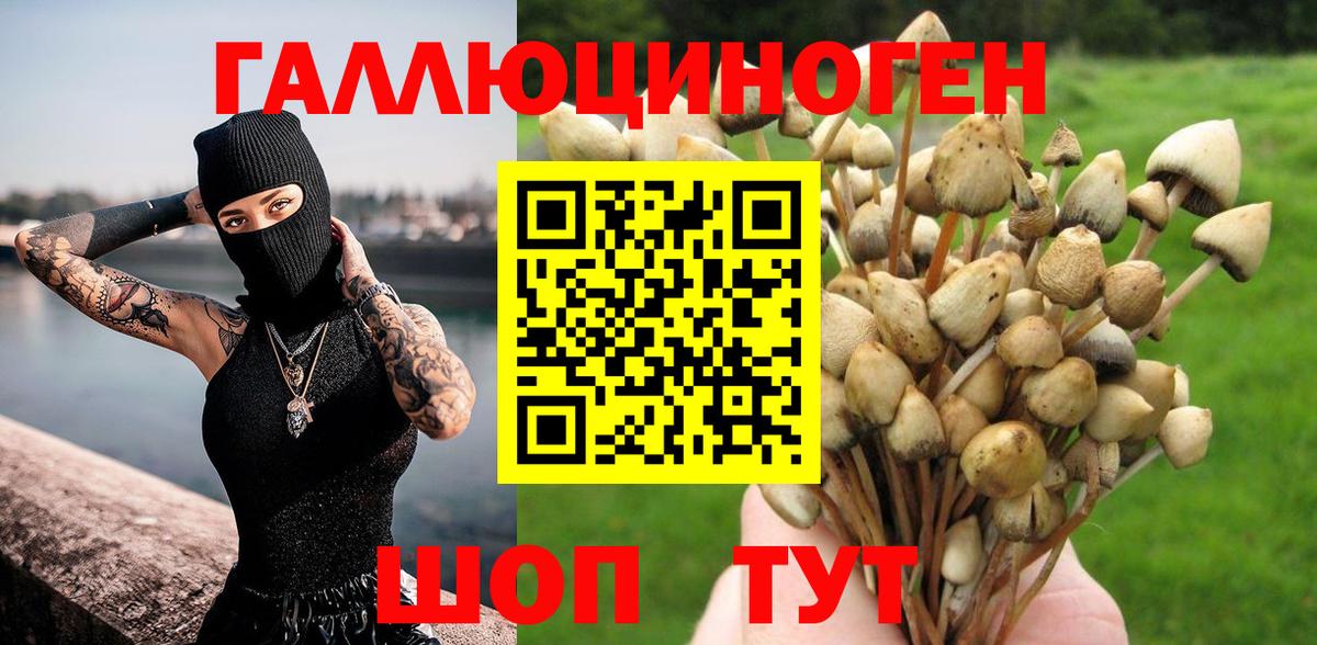 Галлюциногенные грибы прущие грибы Мичуринск
